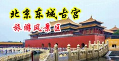 男生屌女生网站中国北京-东城古宫旅游风景区